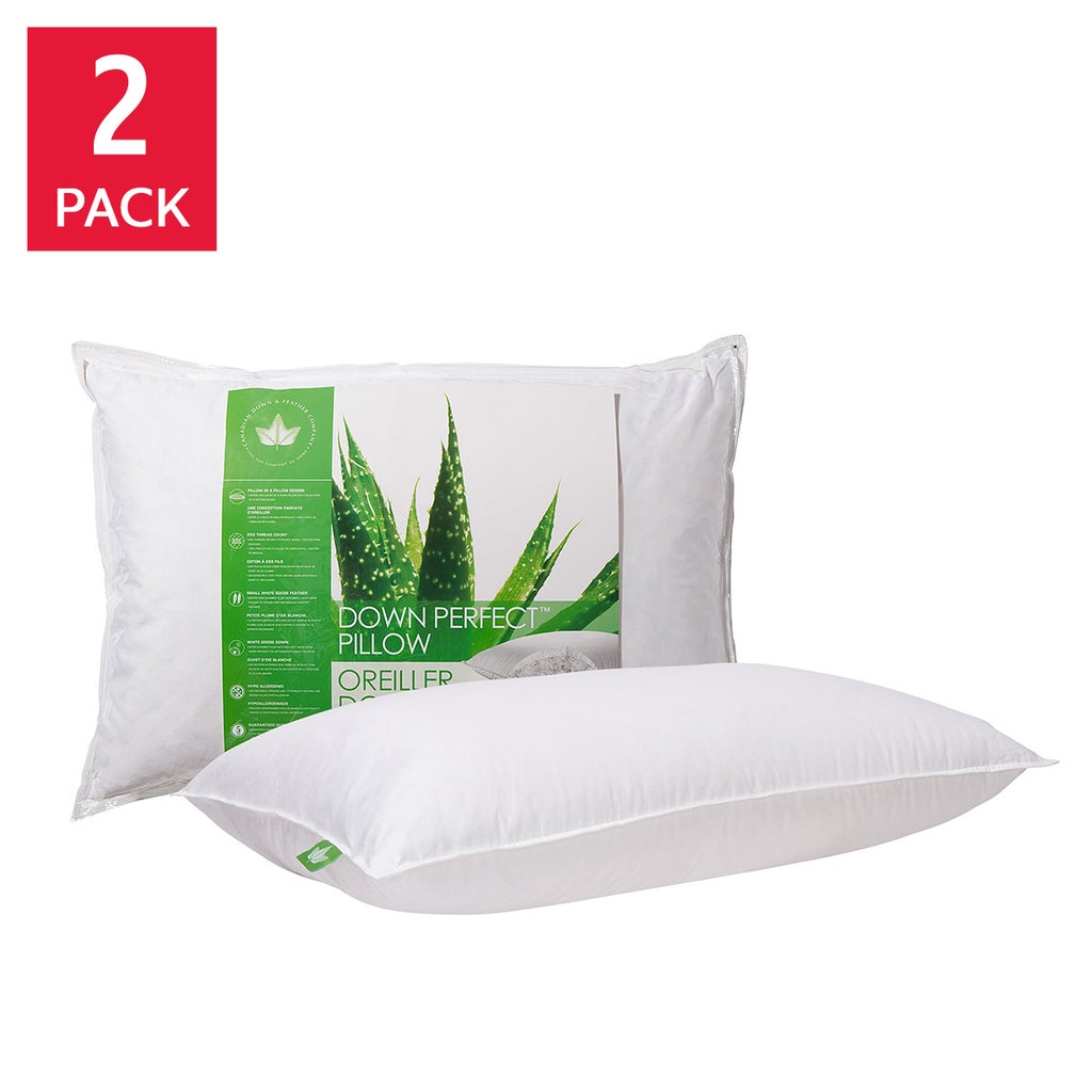 Canadian Down and Feather Company Down Perfect Pillow 2-pack