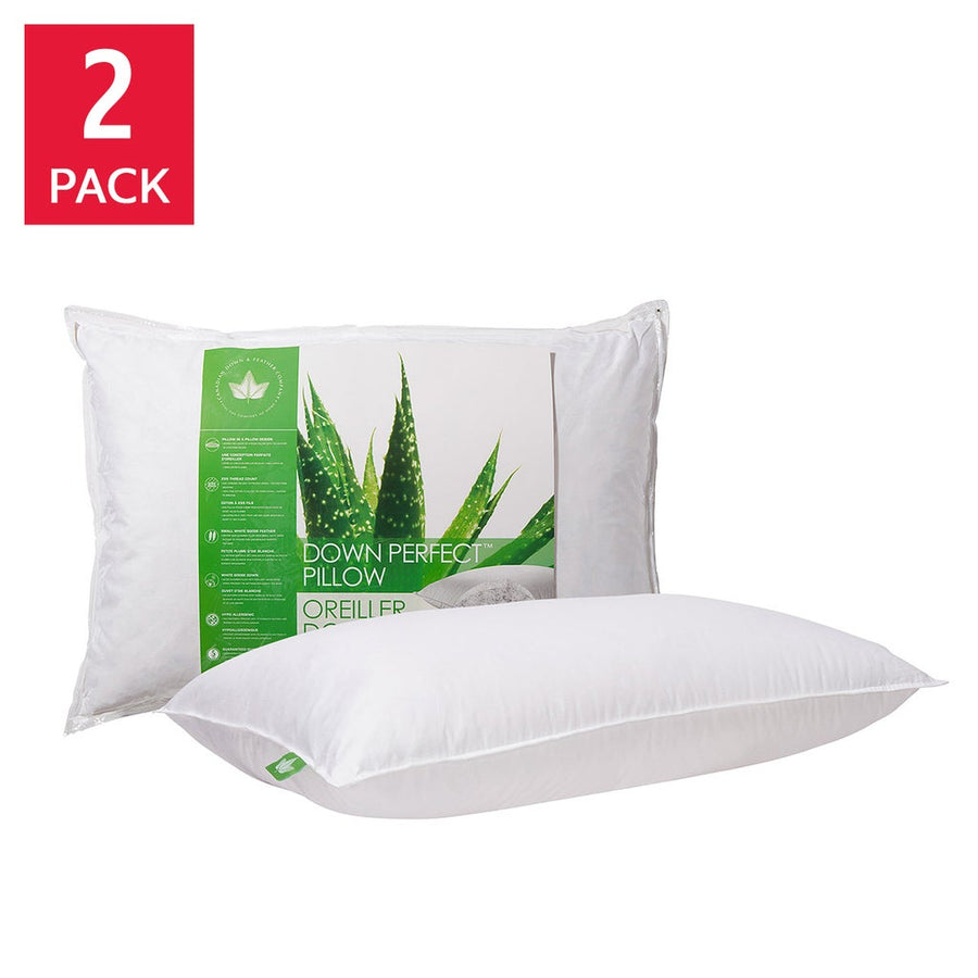 Canadian Down & Feather Company Down Perfect Pillow, 2-pack